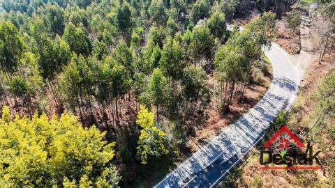 Terreno para venda em São Pedro do Sul