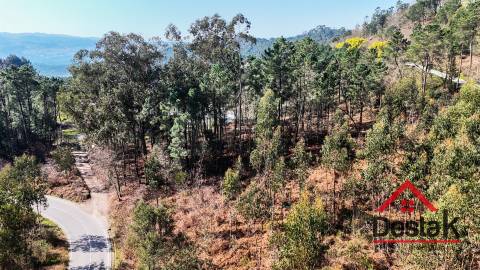 Terreno para venda em São Pedro do Sul