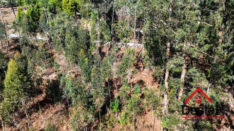 Terreno para venda em São Pedro do Sul