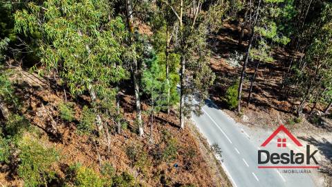 Terreno para venda em São Pedro do Sul