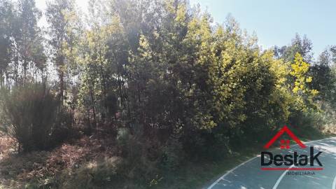 Terreno para venda em São Pedro do Sul