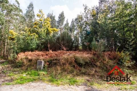 Terreno para venda em São Pedro do Sul
