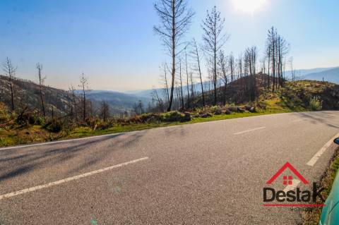 Terreno com Viabilidade Florestal para venda