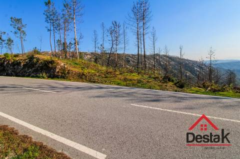 Terreno com Viabilidade Florestal para venda