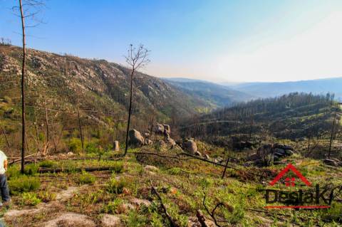 Terreno com Viabilidade Florestal para venda