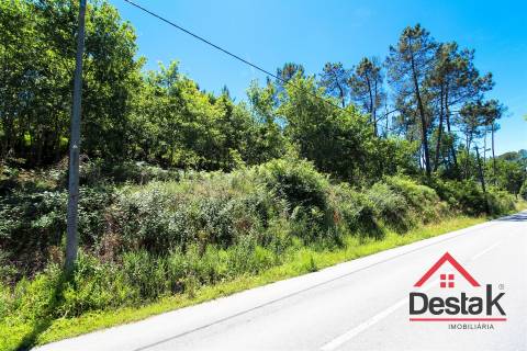 Terreno rústico em Viseu