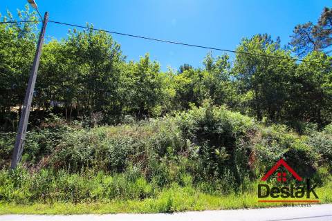 Terreno rústico em Viseu