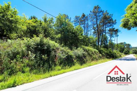 Terreno rústico em Viseu