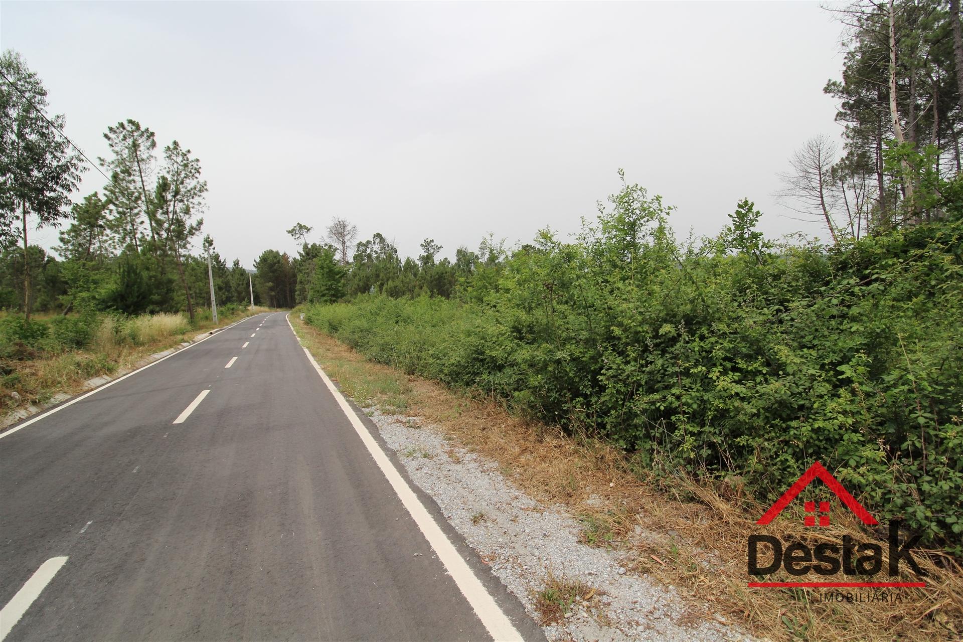 Terreno com possibilidade de construção em Viseu.
