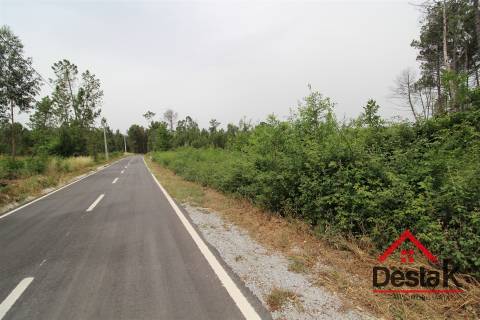 Terreno com possibilidade de construção em Viseu.