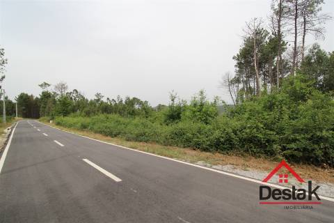 Terreno com possibilidade de construção em Viseu.