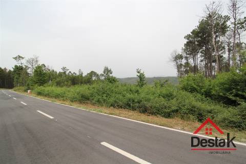 Terreno com possibilidade de construção em Viseu.