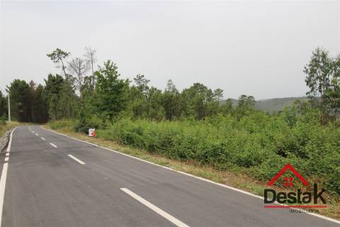 Terreno com possibilidade de construção em Viseu.