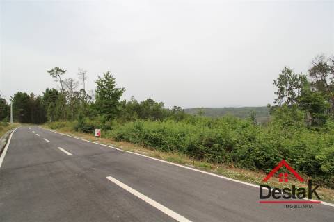 Terreno com possibilidade de construção em Viseu.