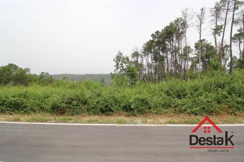 Terreno com possibilidade de construção em Viseu.