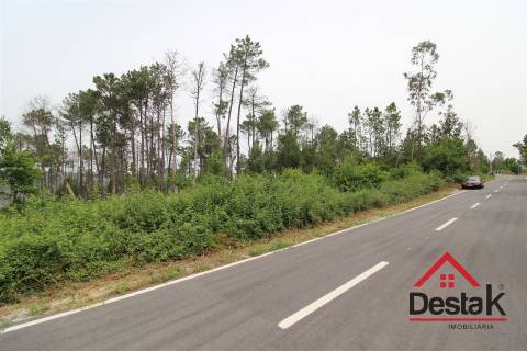 Terreno com possibilidade de construção em Viseu.