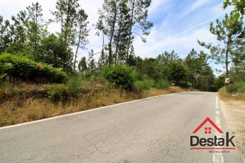 Terreno Rustico a 12 km de Viseu.