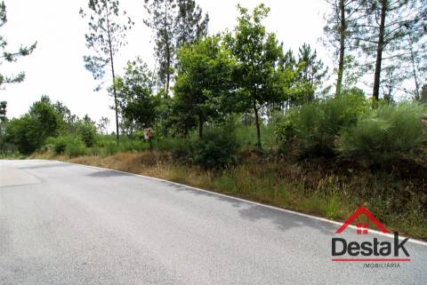 Terreno Rustico a 12 km de Viseu.