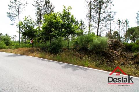 Terreno Rustico a 12 km de Viseu.