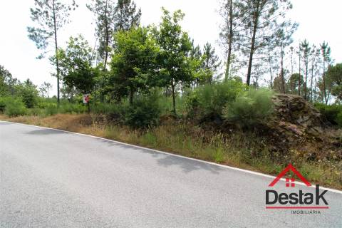 Terreno Rustico a 12 km de Viseu.