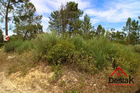 Terreno Rustico a 12 km de Viseu.