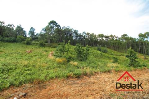 Terreno Urbano para construção a dez minutos do Centro de Viseu.