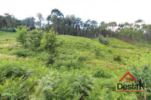 Terreno Urbano para construção a dez minutos do Centro de Viseu.