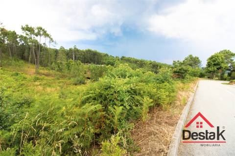 Terreno Urbano para construção a dez minutos do Centro de Viseu.