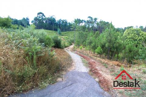 Terreno Urbano para construção a dez minutos do Centro de Viseu.