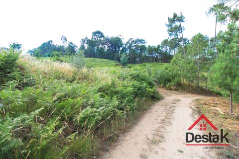 Terreno Urbano para construção a dez minutos do Centro de Viseu.