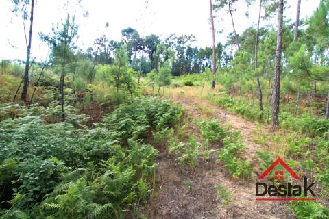 Terreno Urbano para construção a dez minutos do Centro de Viseu.