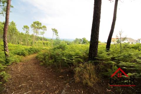 Terreno Urbano para construção a dez minutos do Centro de Viseu.