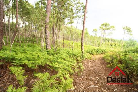 Terreno Urbano para construção a dez minutos do Centro de Viseu.