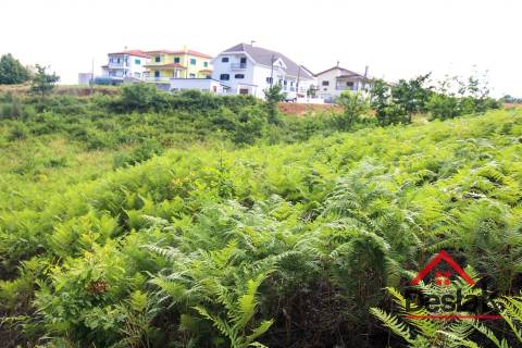 Terreno Urbano para construção a dez minutos do Centro de Viseu.