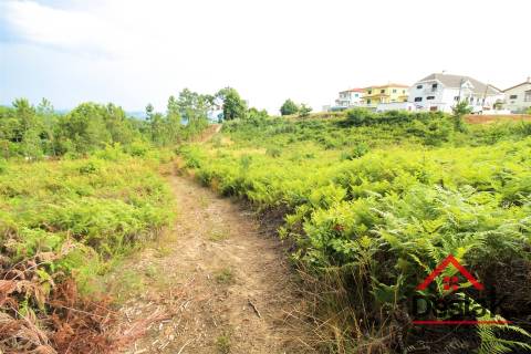 Terreno Urbano para construção a dez minutos do Centro de Viseu.