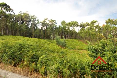 Terreno Urbano para construção a dez minutos do Centro de Viseu.