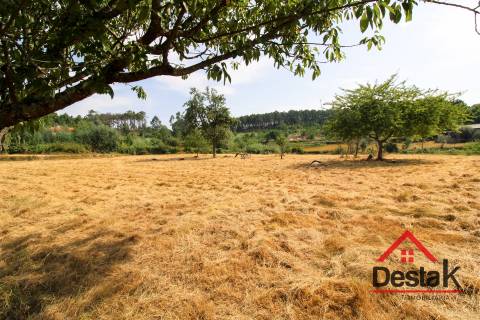 Terreno com viabilidade de construção e cultivo em Viseu.