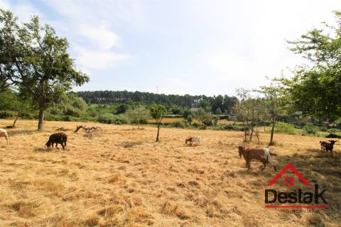 Terreno com viabilidade de construção e cultivo em Viseu.
