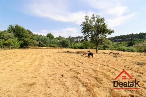 Terreno com viabilidade de construção e cultivo em Viseu.