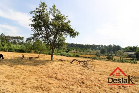 Terreno com viabilidade de construção e cultivo em Viseu.