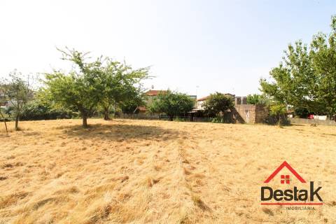 Terreno com viabilidade de construção e cultivo em Viseu.