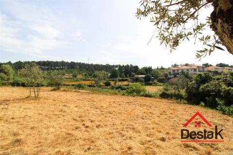 Terreno com viabilidade de construção e cultivo em Viseu.