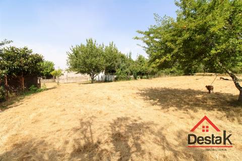 Terreno com viabilidade de construção e cultivo em Viseu.