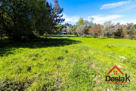 Terreno Rustico 2380 m² para Venda em Canas de Senhorim