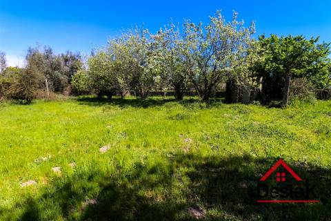 Terreno Rustico 2380 m² para Venda em Canas de Senhorim