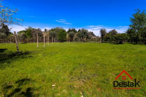 Terreno Rustico 2380 m² para Venda em Canas de Senhorim