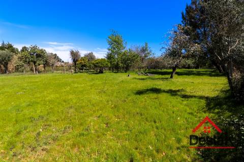 Terreno Rustico 2380 m² para Venda em Canas de Senhorim