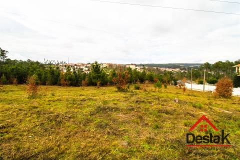 Terreno com 6000 m² e viabilidade de loteamento em Rio de Loba