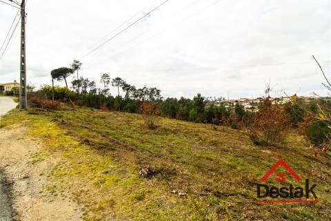 Terreno com 6000 m² e viabilidade de loteamento em Rio de Loba