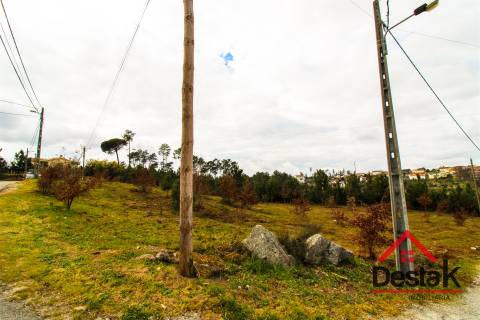 Terreno com 6000 m² e viabilidade de loteamento em Rio de Loba